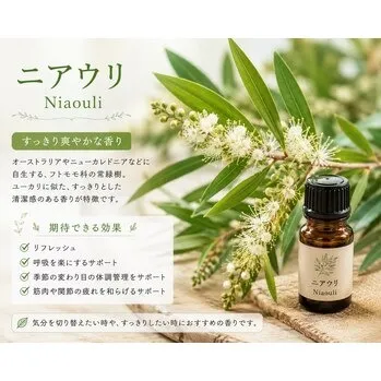 新登場!ニアウリのエッセンシャルオイル♪