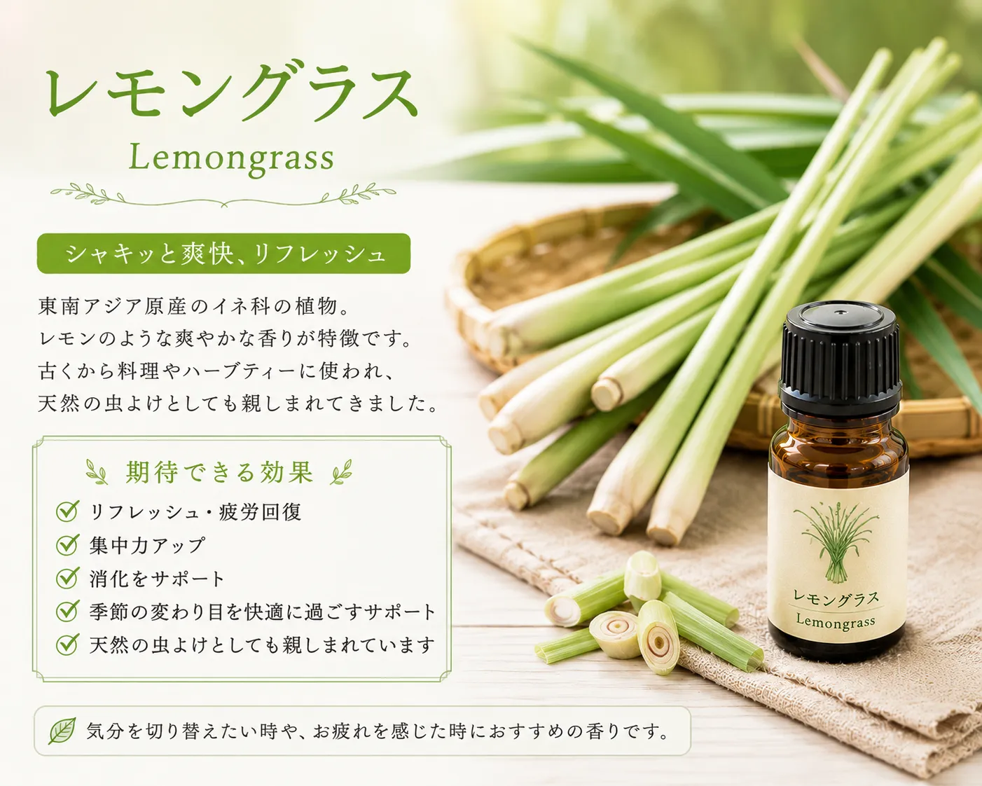 新オイル第二弾!レモングラスのご紹介♪